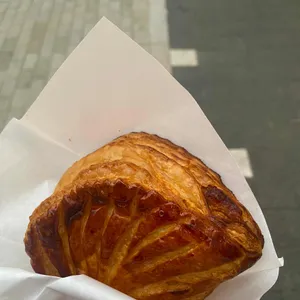 올라라 사진