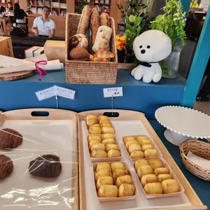 비헤브 사진