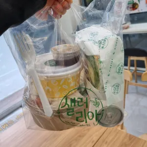 샐러리아 사진