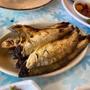 융진호 사진