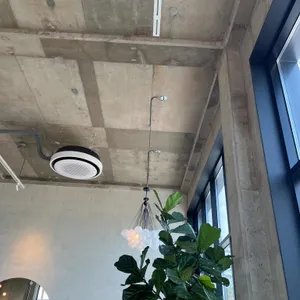 화이트바움 리뷰 사진