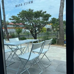 화이트바움 리뷰 사진