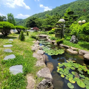 우향 리뷰 사진