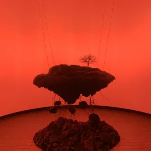 다크앤라이트 리뷰 사진