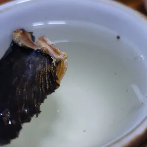 우래 사진