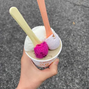 엘라또 사진