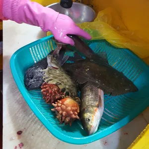 옥이네 사진