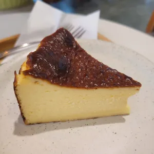커피폴 사진
