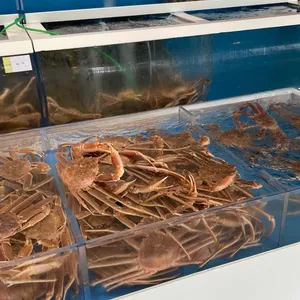 대게만찬 리뷰 사진