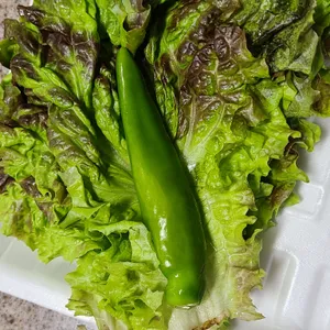 족발신선생  사진