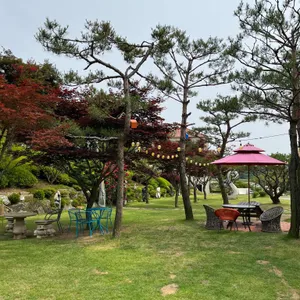 라라랜드카페 리뷰 사진