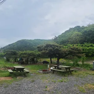 동희집 리뷰 사진