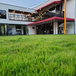 차스타임 리뷰 사진