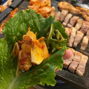 황금돼지 사진
