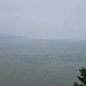 쭈꾸미짱 리뷰 사진