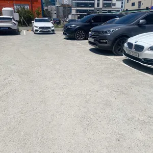 코지하우스 리뷰 사진