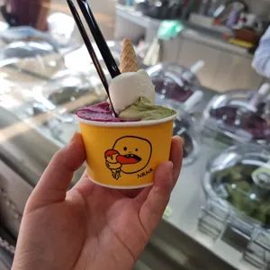 낼름 사진