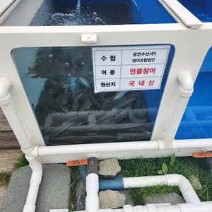 광연수산 리뷰 사진