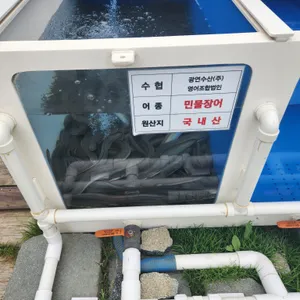 광연수산 리뷰 사진