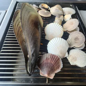 세종조개창고 리뷰 사진