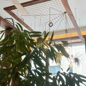 그레이스538 리뷰 사진