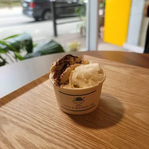 젤라떼리아 여름 사진