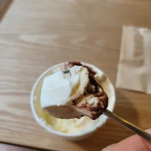 젤라떼리아 여름 사진