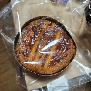 젤라떼리아 여름 사진