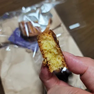 젤라떼리아 여름 사진
