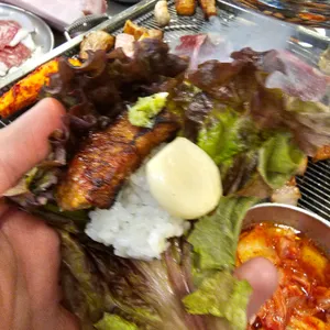 식껍 사진