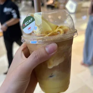 폴바셋 사진
