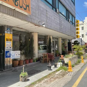 코페부쉬 리뷰 사진