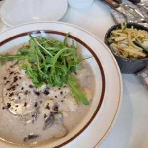 비푸스 사진