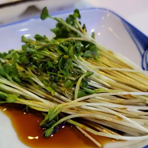 조은참치 사진
