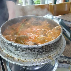 상록수 사진
