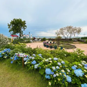 비츠카페 리뷰 사진