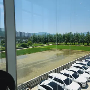 메타1976 리뷰 사진