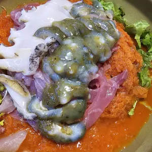 청초수물회 사진
