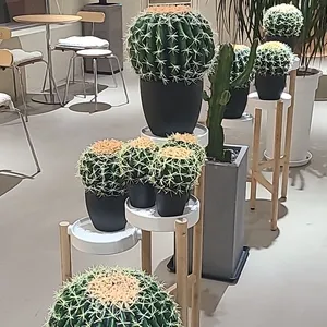 DDUB 리뷰 사진