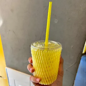 고망고 사진