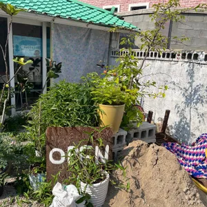 테일 리뷰 사진