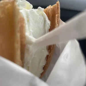 와플대학 대표 사진