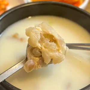 한강 사진