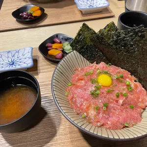 코바치 사진