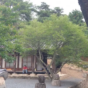 카페만휴정 리뷰 사진