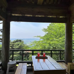 도비산 다원 리뷰 사진