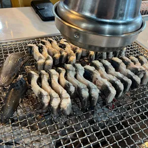 장어애 사진