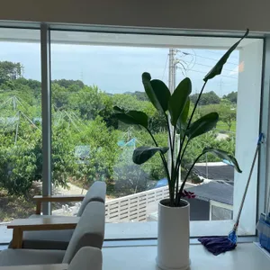플랜나인 리뷰 사진
