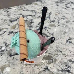 지파시 사진
