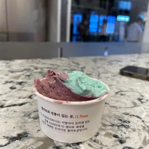 지파시 사진
